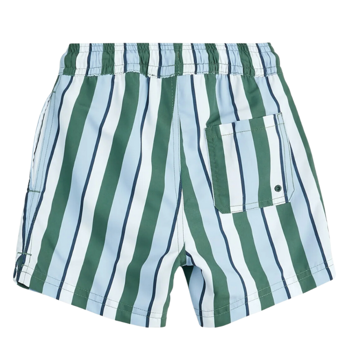 Miles - Striped Swim Shorts in Blue and Green