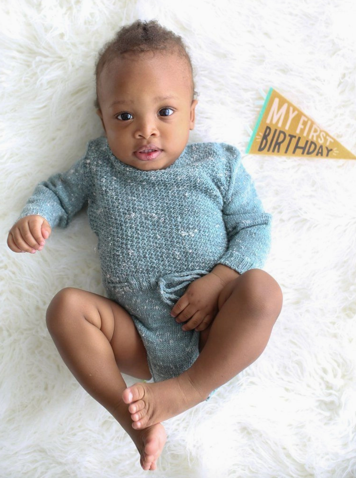 Baby felt pennant monthly milestone