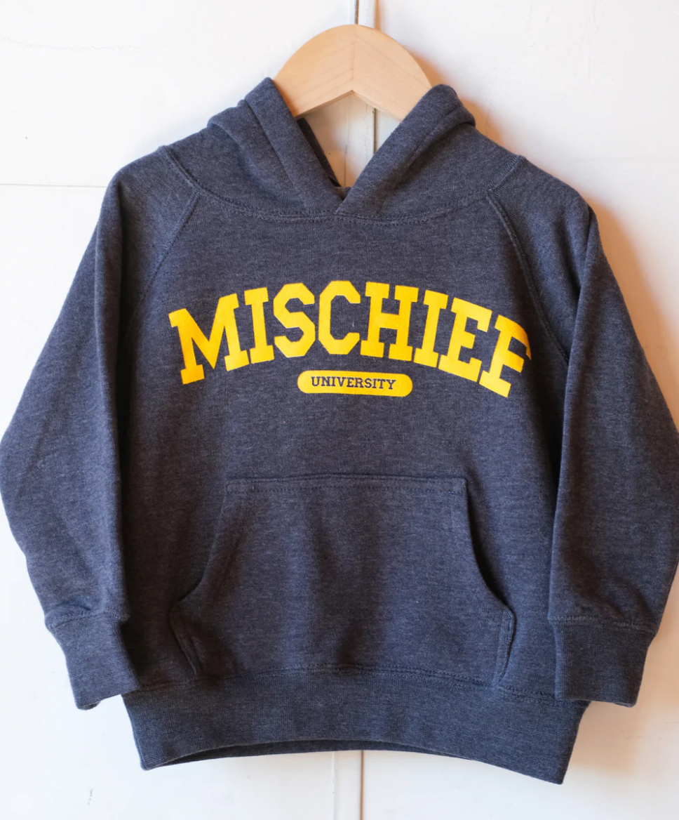 Ambitious Kids - Mischief University Hoodie in Navy