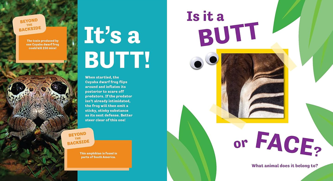 Butt or Face? by Kari Lavelle - Hardcover Book