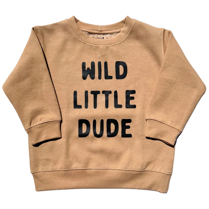 Wild Little Dude pullover sweatshirt