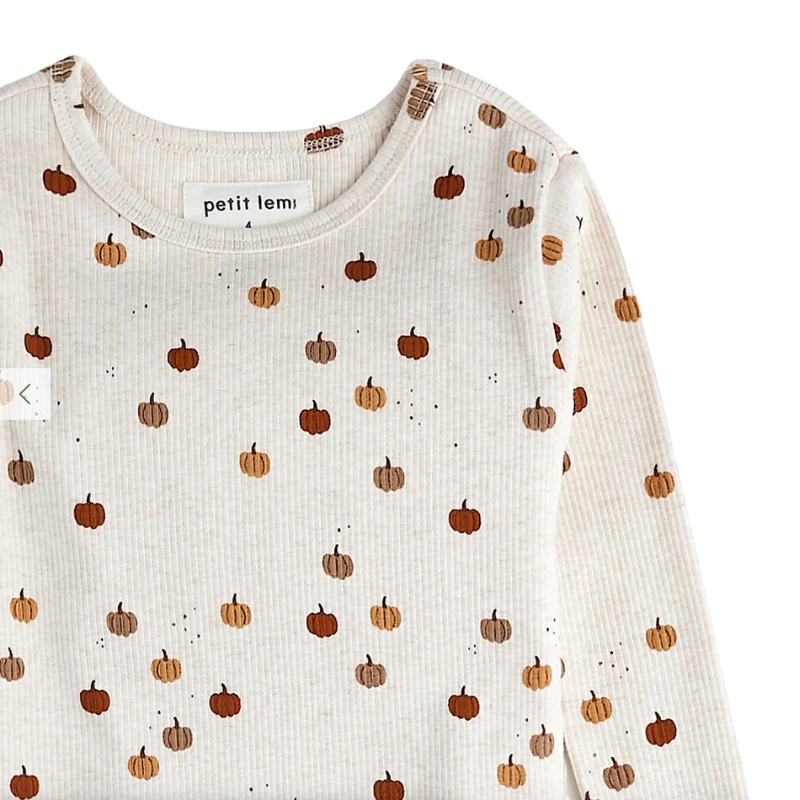 Petit Lem - Pumpkin Print Two-Piece PJs in Oatmeal (6)