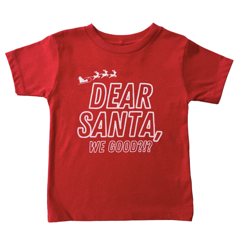 Dear Santa We Good Kids Christmas tshirt
