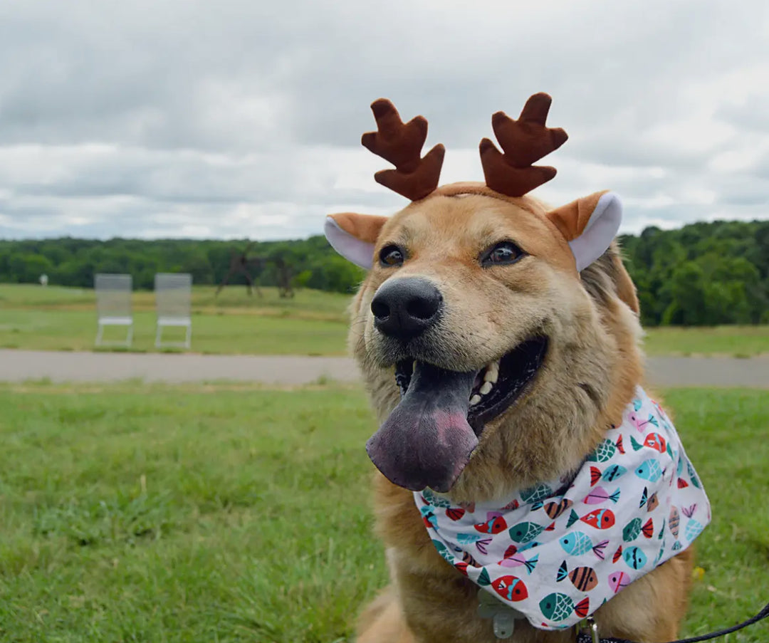 Christmas Reindeer Antlers Headband