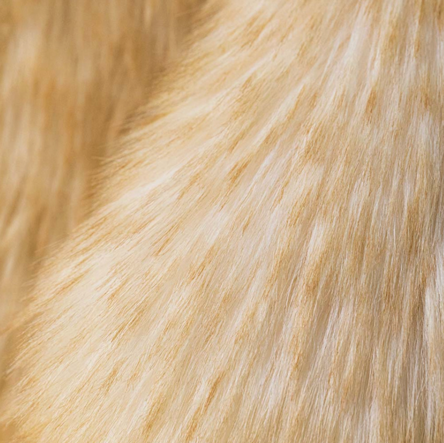 Jellycat Springlowe Luxe Big Bunny detail