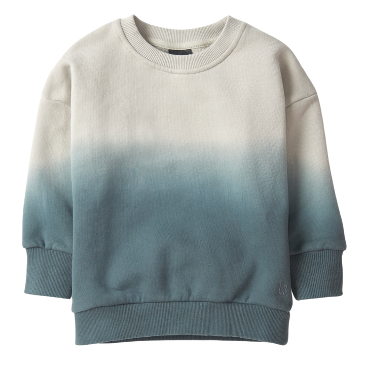 Little Bipsy Ombre pullover 