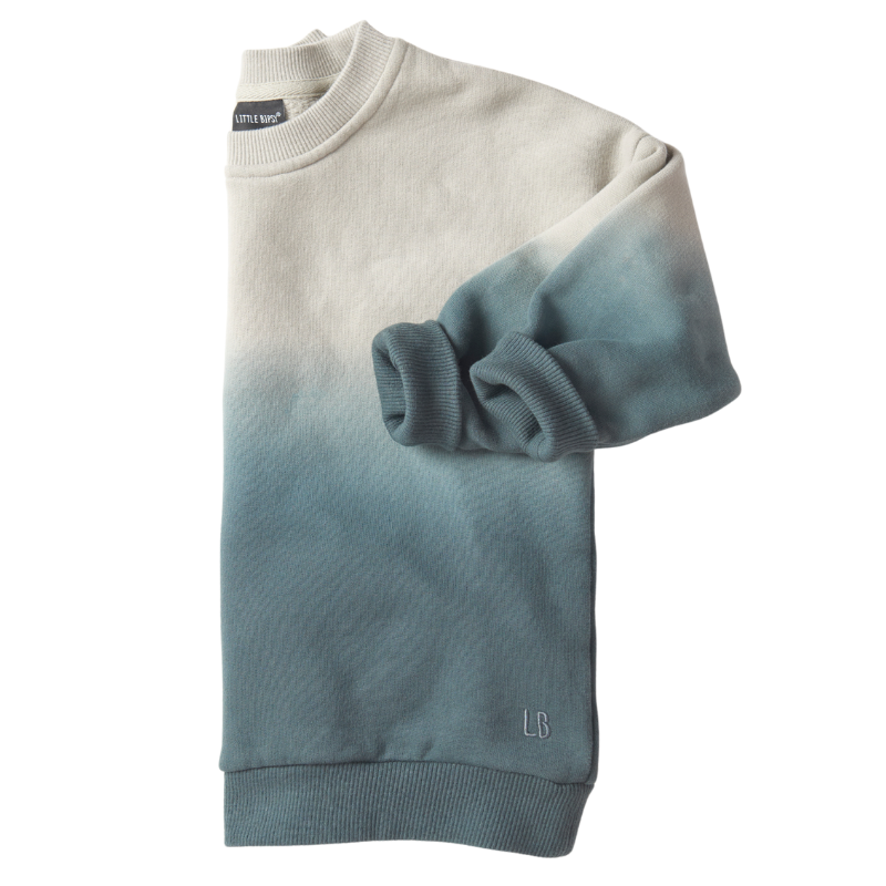 Little Bipsy Ombre sweatshirt