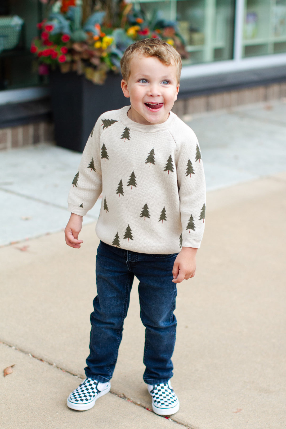 Mebie Baby boys tree sweater 