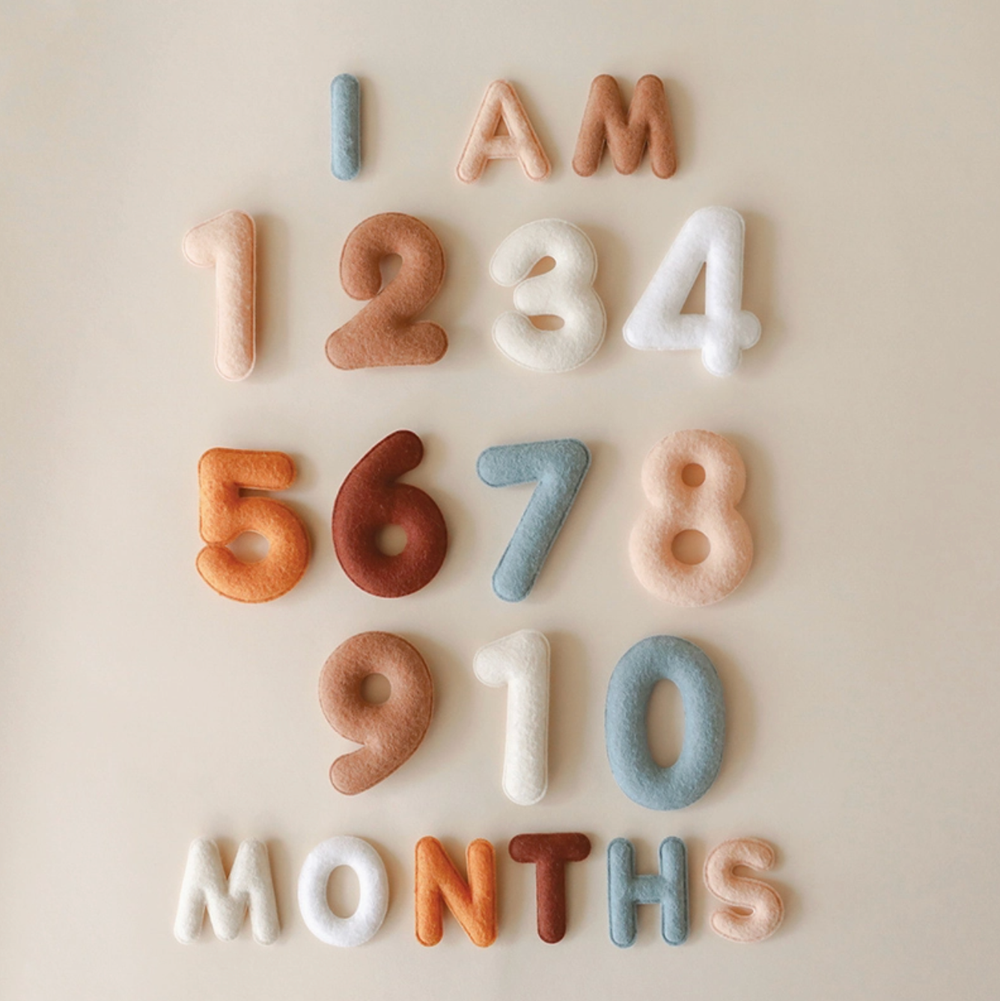 Monthly Milestone Baby Felt Letters for photos
