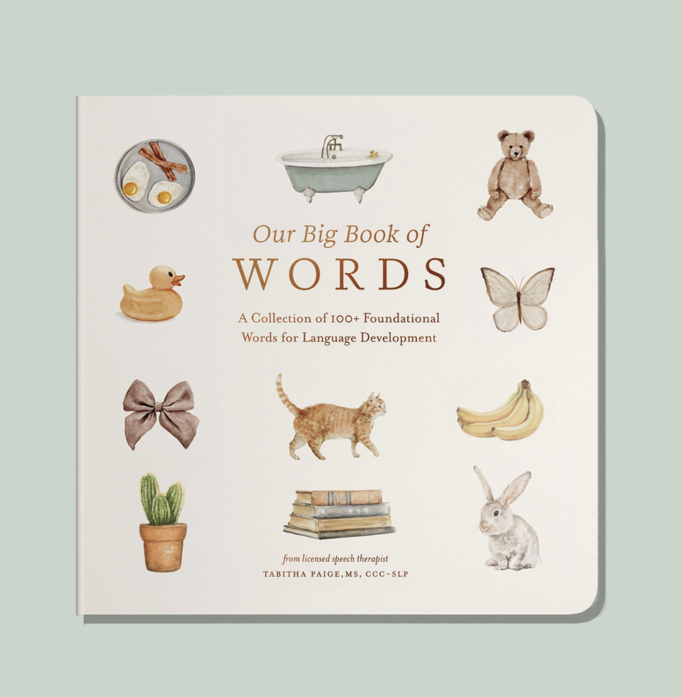 Our Big Books of Words by Tabitha Paige
