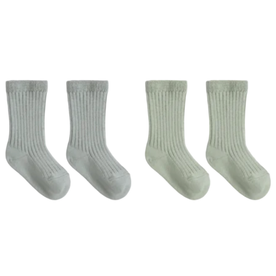 Quincy Mae 2 pair sock set fern and blue