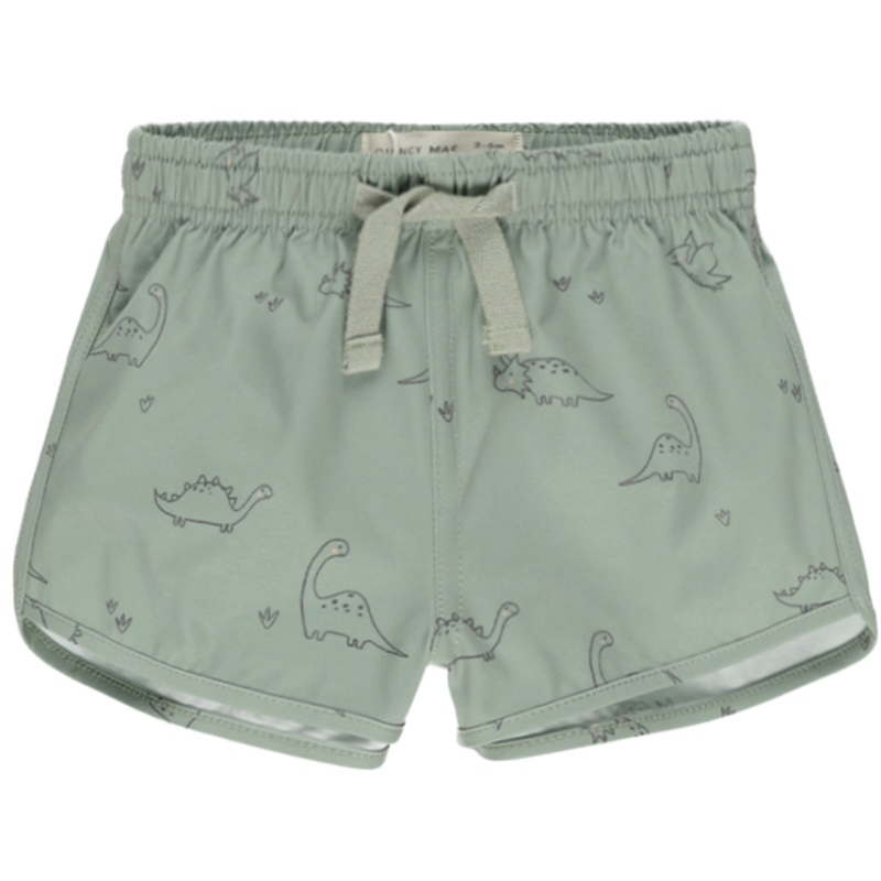 Quincy Mae Dino swim trunks