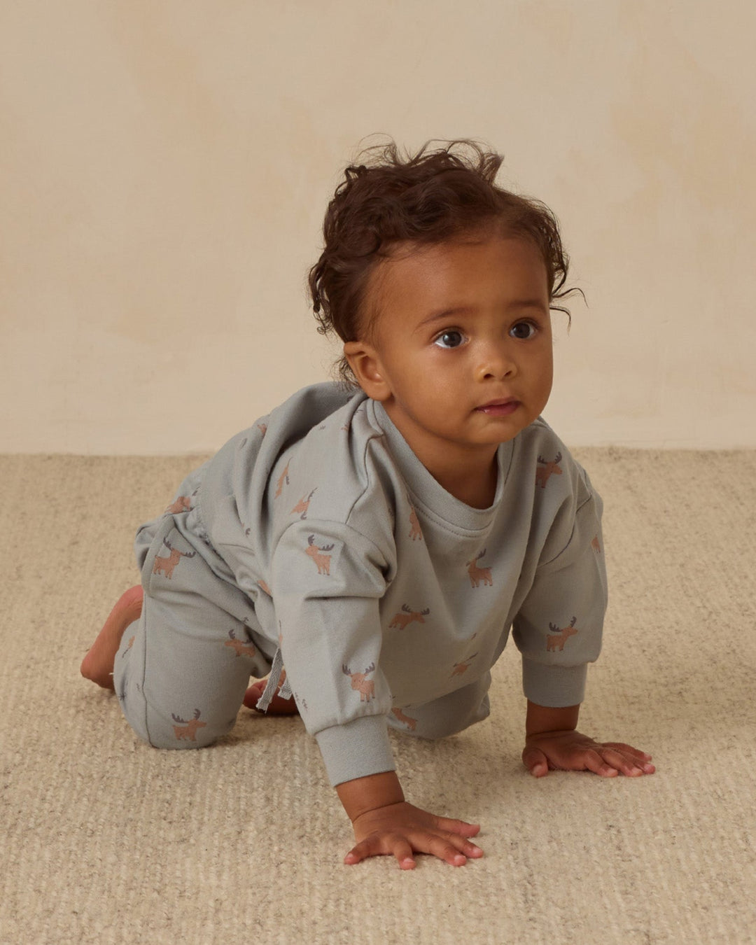 Quincy Mae baby moose sweatshirt in Blue