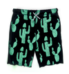 Appaman boys cactus shorts