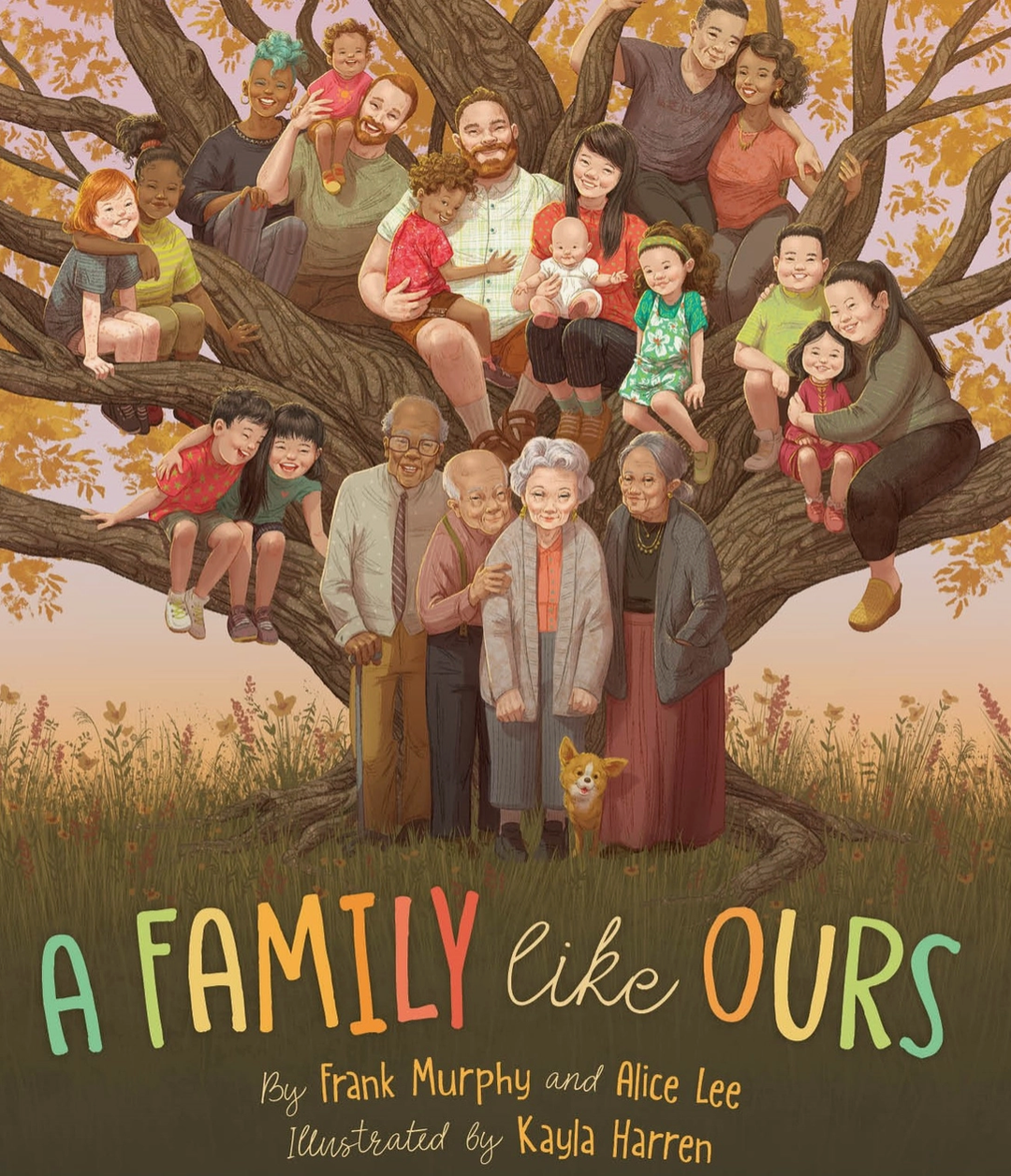 A Family Like Ours by Frank Murphy - Hardcover Book