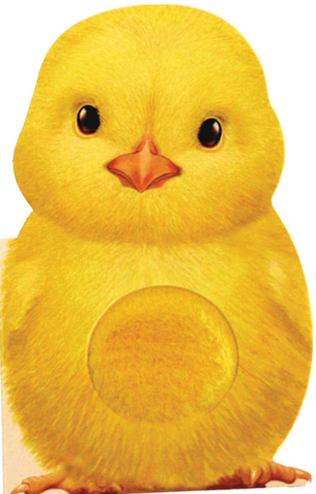 Furry Chick easter bunny book