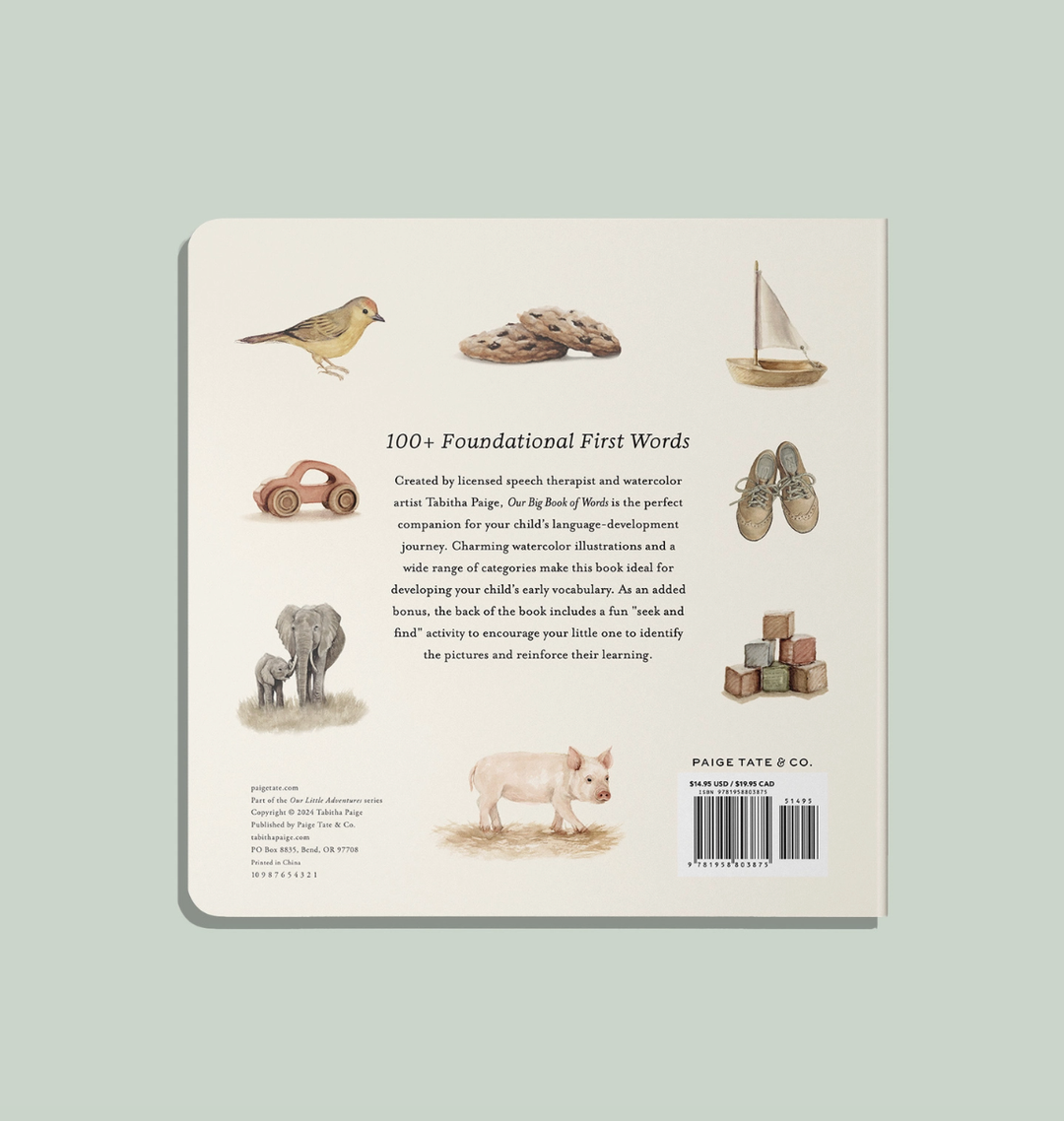 Our Big Book of First Words by Tabitha Paige - Board Book