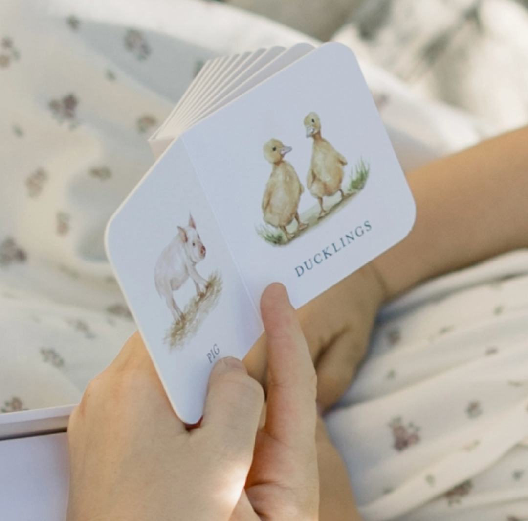 Very Little Board Book Library Set (10 Mini Books)