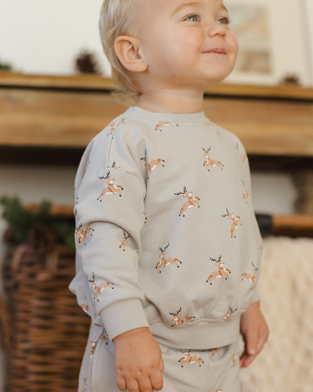 Toddler Boys Relaxed Fleece Reindeer Sweatshirt in Frost