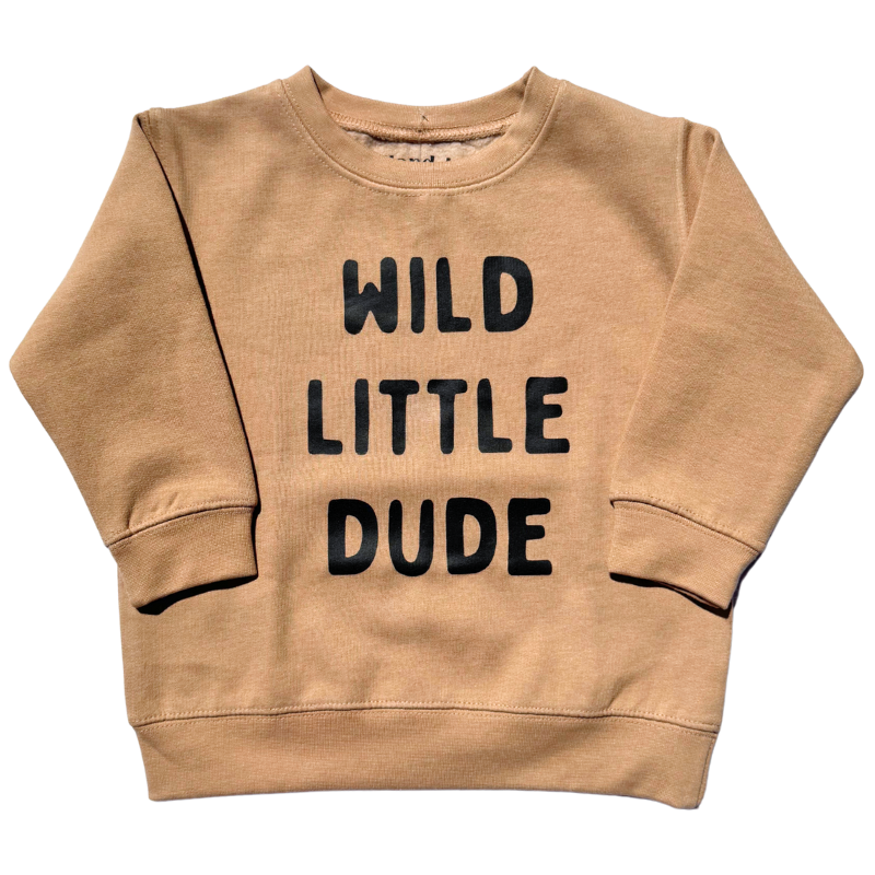 Wild Little Dude pullover sweatshirt