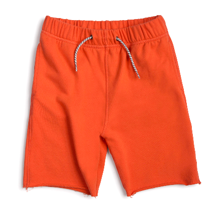 Appaman Boys Camp Shorts in Orange 
