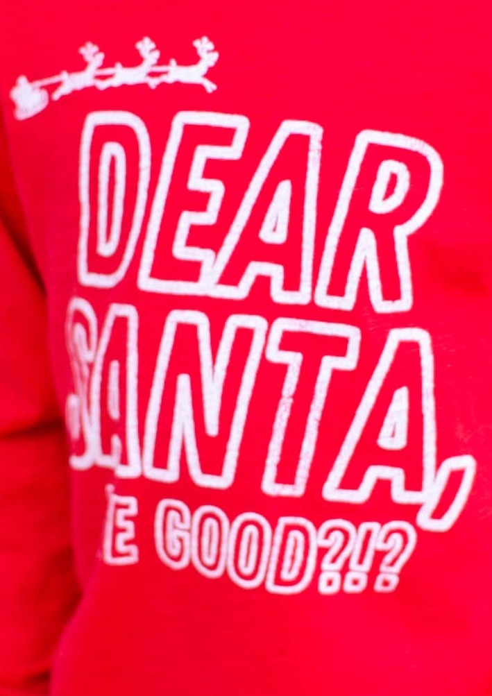 Retro Brand - Dear Santa, We Good? SLIM Tee in Red