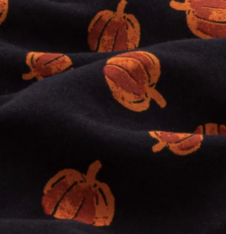 Burt's bees pumpkin 2024 pajamas